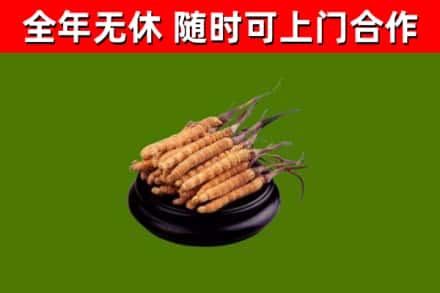 武隆回收冬虫夏草