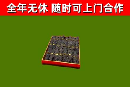 武隆回收海参